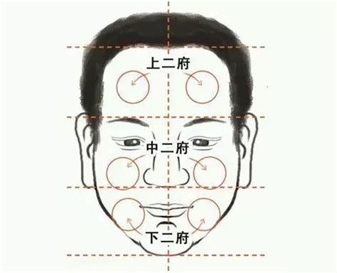 耳後見腮|學會看面相：腦後見腮的人容易恩將仇報